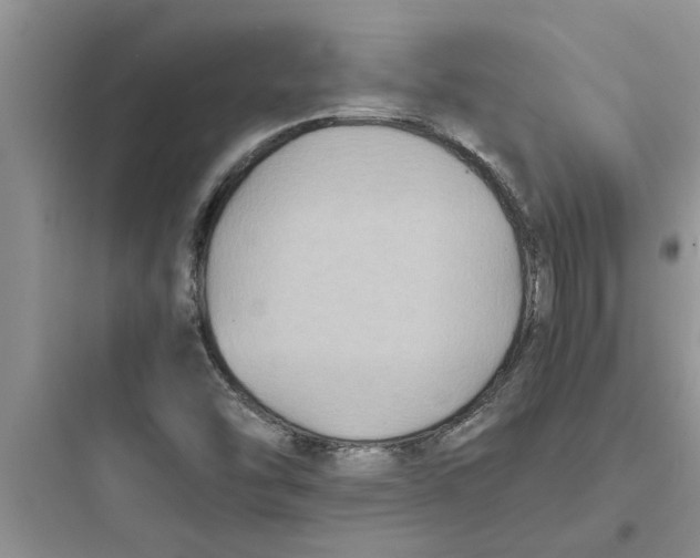 X0000097621454200803211734