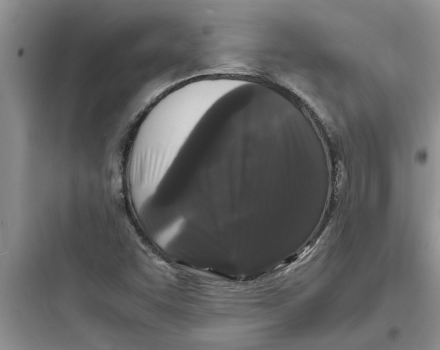 X0000097621455200803211734