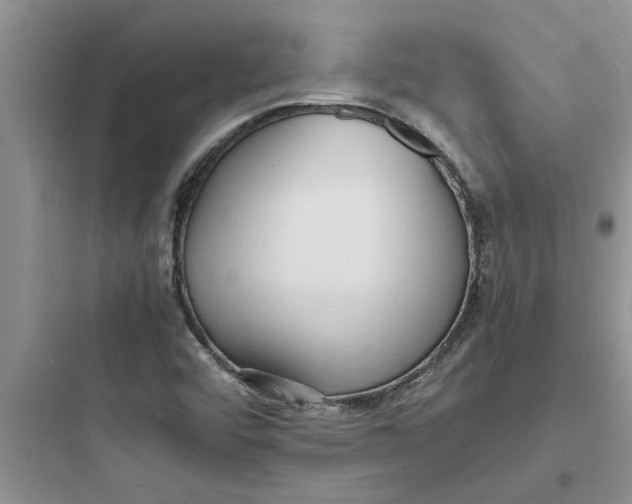 X0000097621456200803211734