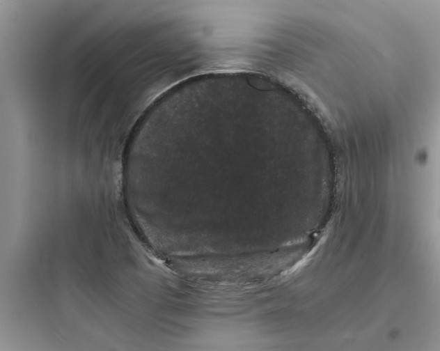 X0000097621457200803211734