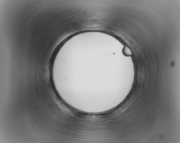X0000097621458200803211734