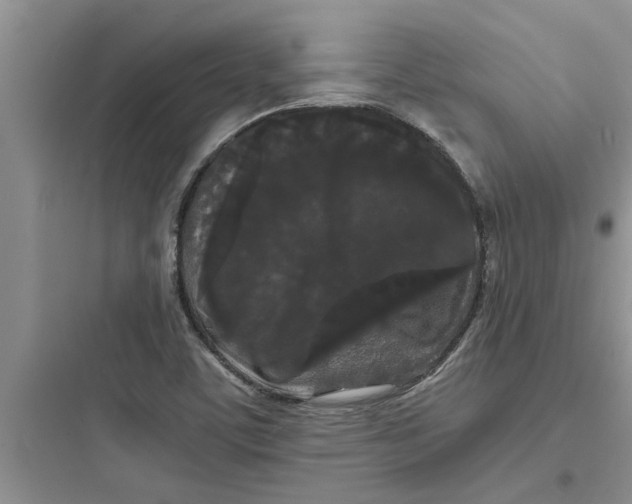 X0000097621459200803211734
