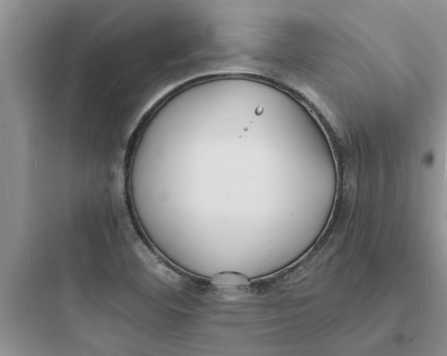 X0000097621460200803211734