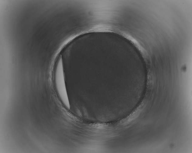 X0000097621461200803211734