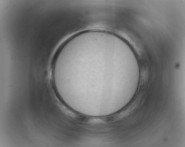 X0000097621462200803211734