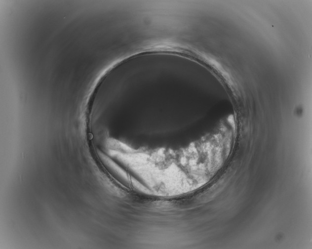 X0000097621463200803211734