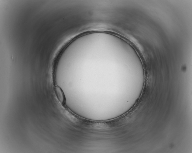 X0000097621464200803211734