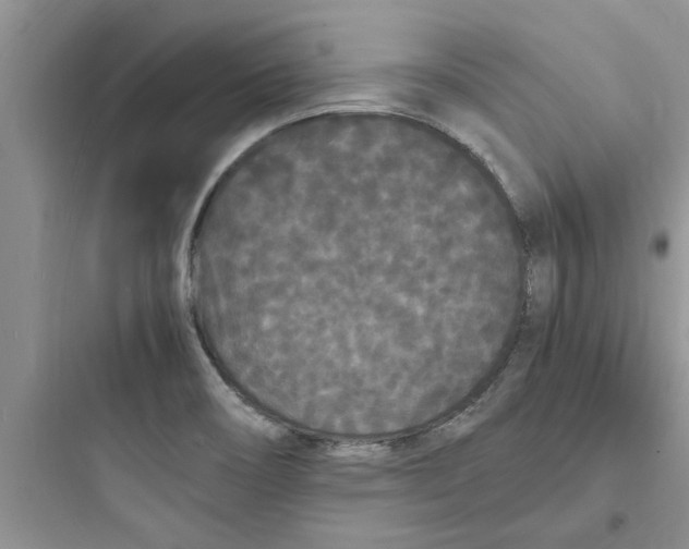 X0000097621466200803211734