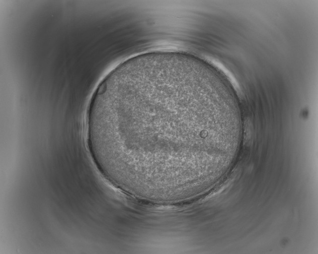 X0000097621467200803211734