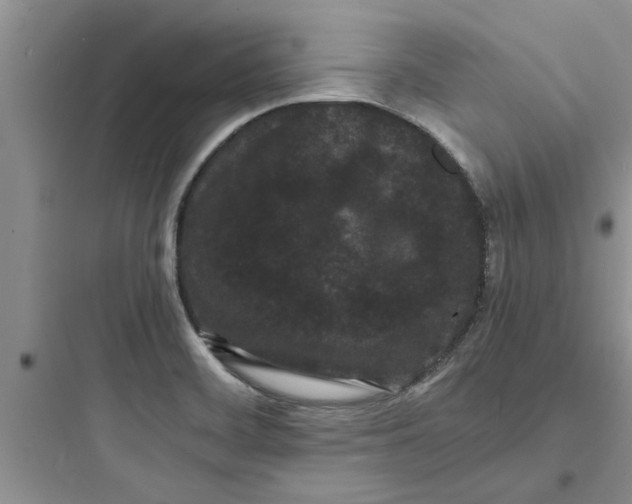 X0000097621468200803211734
