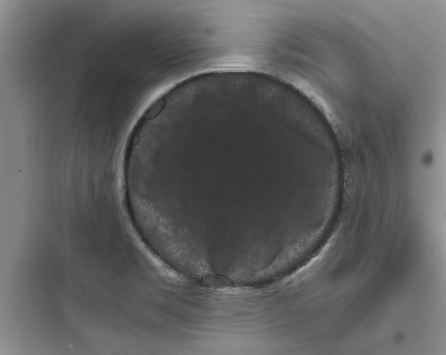 X0000097621469200803211734