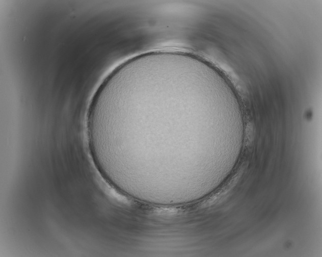 X0000097621470200803211734