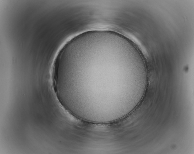 X0000097621472200803211734