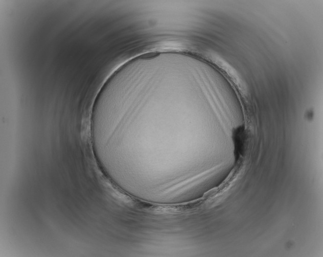 X0000097621473200803211734