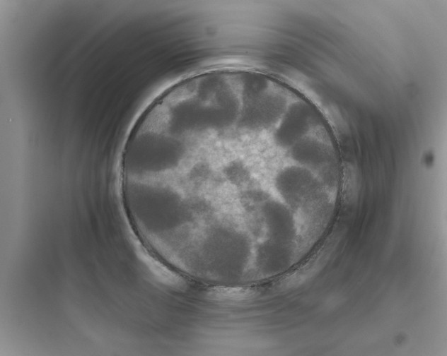X0000097621474200803211734
