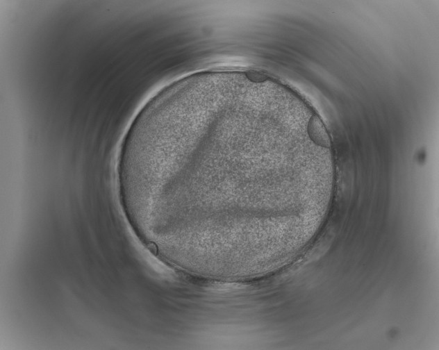 X0000097621475200803211734