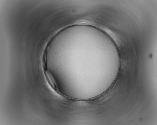 X0000097621476200803211734