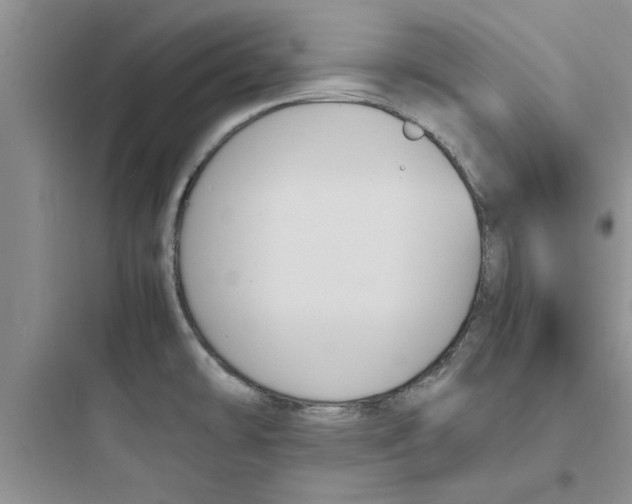 X0000097621478200803211734