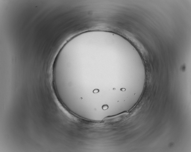 X0000097621479200803211734