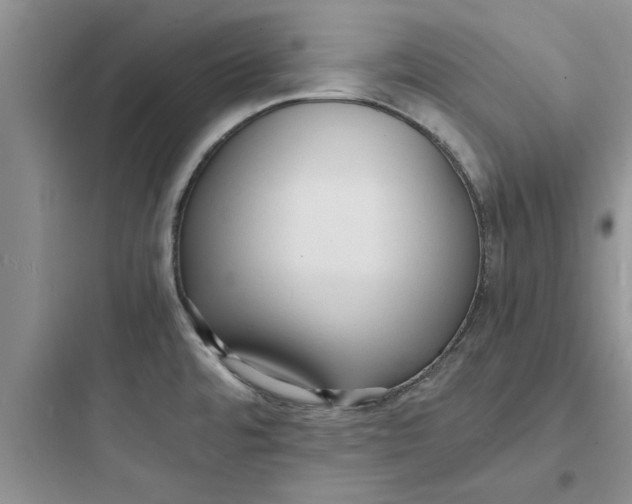 X0000097621480200803211734