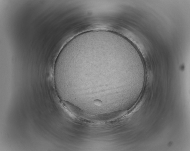 X0000097621481200803211734