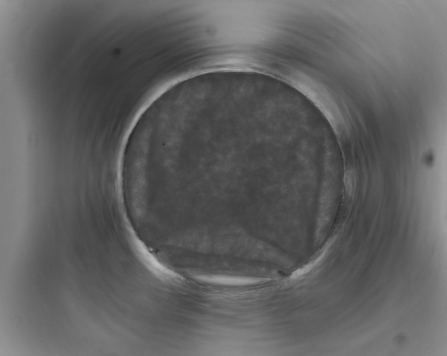 X0000097621482200803211734