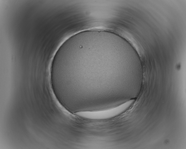 X0000097621483200803211734