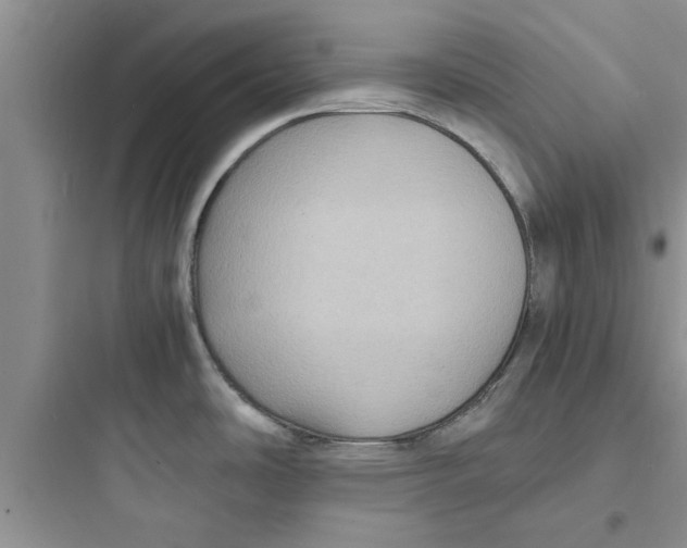 X0000097621486200803211734