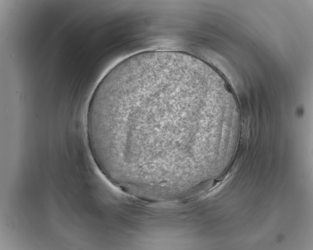 X0000097621487200803211734