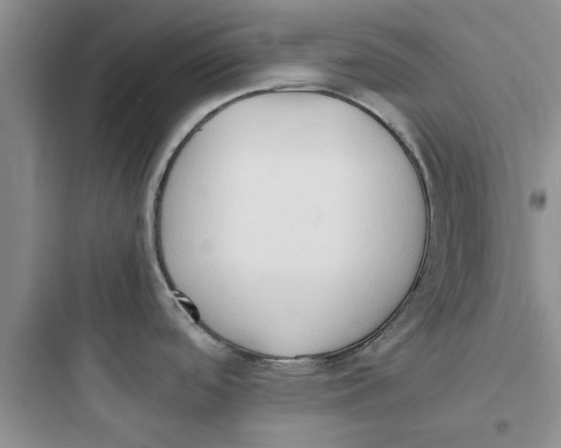 X0000097621488200803211734