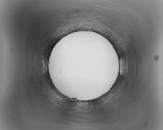 X0000097621491200803211733