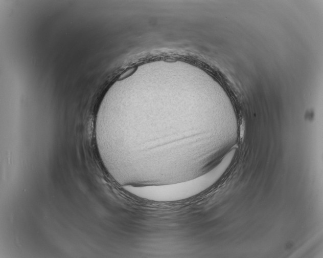 X0000097621492200803211733