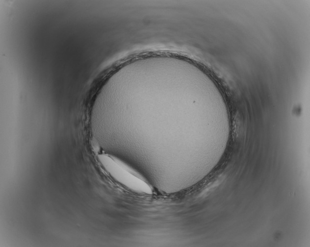 X0000097621494200803211733