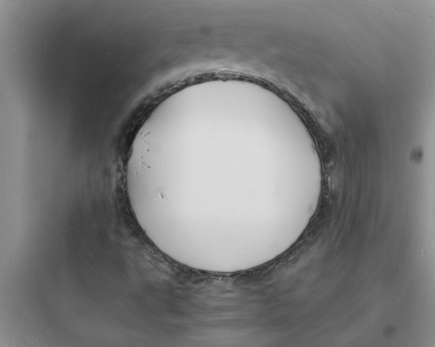 X0000097621495200803211733