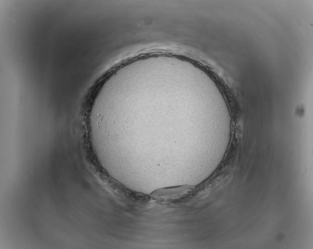 X0000097621496200803211733