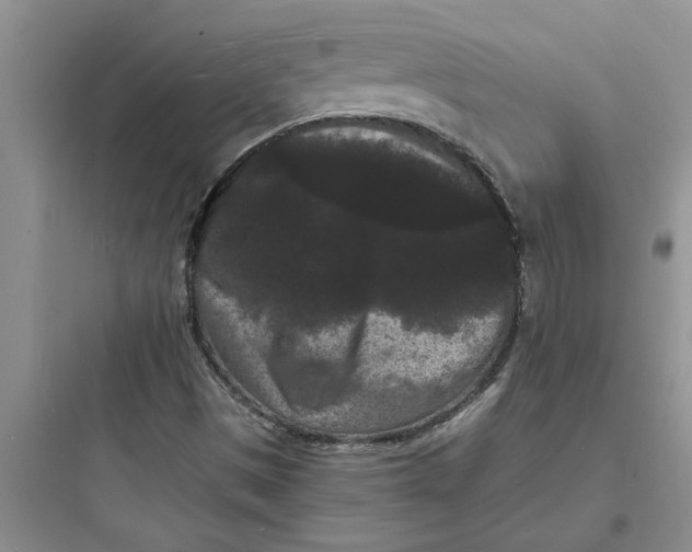 X0000097621497200803211733