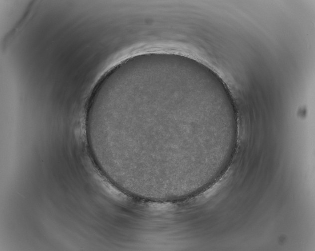 X0000097621498200803211733