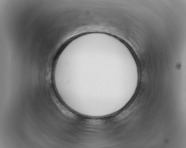 X0000097621499200803211733