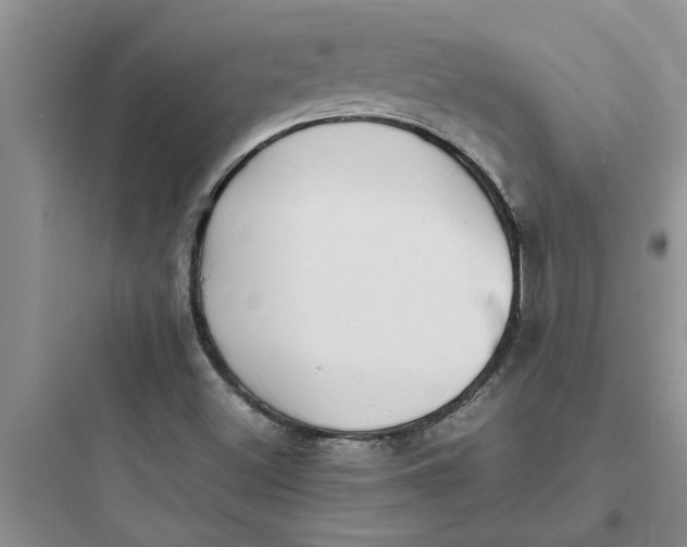 X0000097621500200803211734