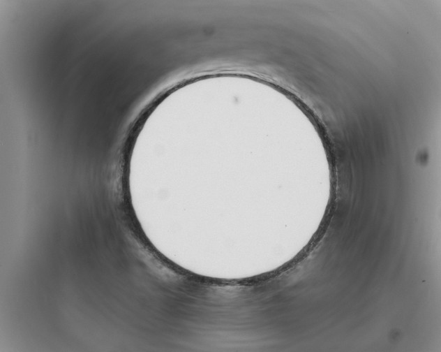 X0000097621502200803211734