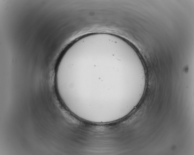 X0000097621507200803211734