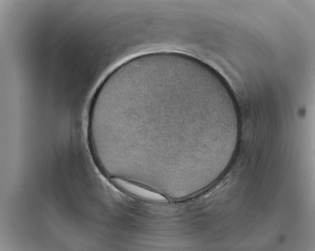 X0000097621508200803211734