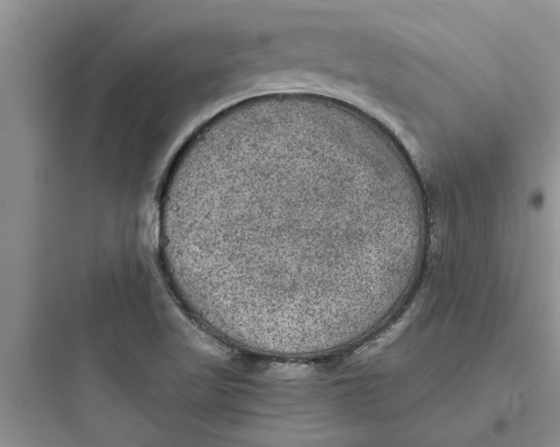 X0000097621509200803211734