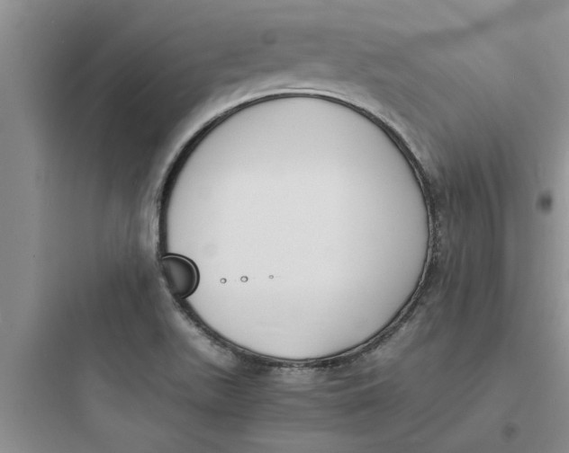 X0000097621511200803211734