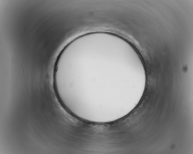 X0000097621512200803211734