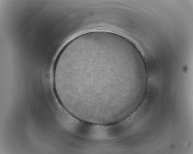 X0000097621514200803211734