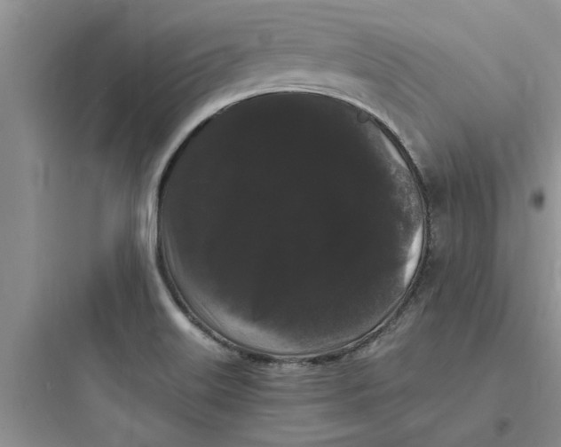 X0000097621515200803211734