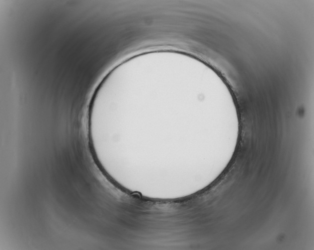 X0000097621516200803211734
