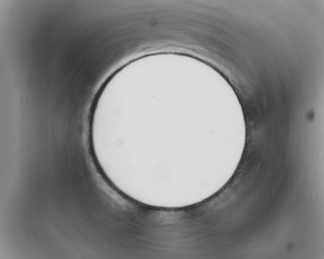X0000097621518200803211734