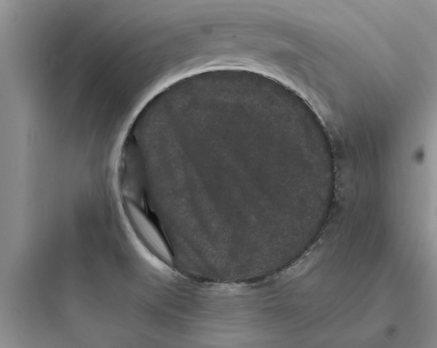 X0000097621519200803211734